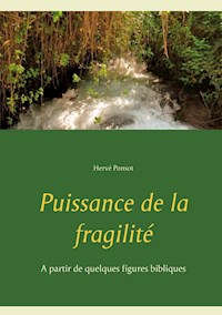 Puissance de la fragilité - Hervé Ponsot - E-Book