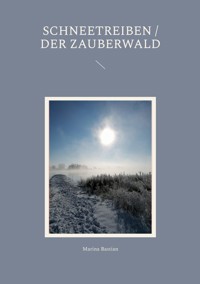 Schneetreiben / Der Zauberwald - Marina Bastian - E-Book