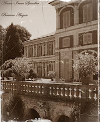 Braune Augen - Anna-Irene Spindler - E-Book