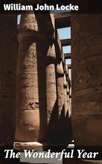 The Wonderful Year - William John Locke - E-Book