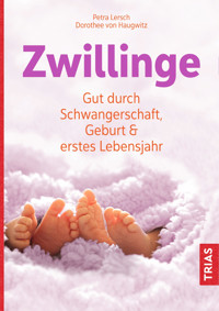Zwillinge - Petra Lersch - E-Book