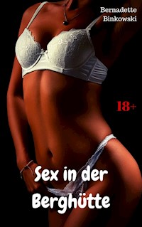 Sex in der Berghütte - Bernadette Binkowski - E-Book