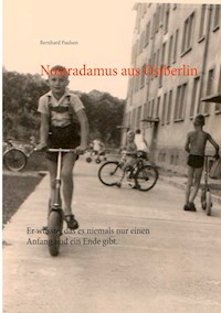 Nostradamus aus Ostberlin - Bernhard Paulsen - E-Book