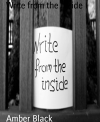 Write from the Inside - Amber Black - E-Book