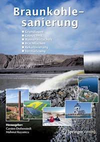 Braunkohlesanierung -  - E-Book