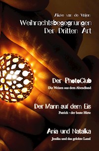 Weihnachtsbegegnungen Der Dritten Art - Akée van de Vrijen - E-Book