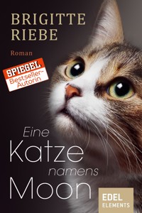 Eine Katze namens Moon - Brigitte Riebe - E-Book