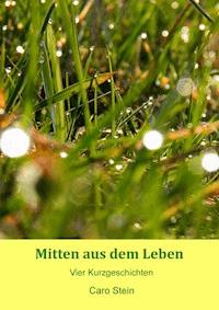 Mitten aus dem Leben - Caro Stein - E-Book