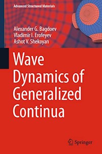 Wave Dynamics of Generalized Continua - Alexander G. Bagdoev - E-Book