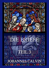 Die Briefe, Teil 3 - Johannes Calvin - E-Book