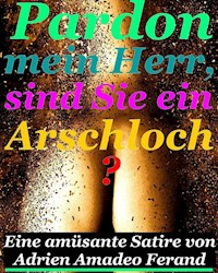 Pardon mein Herr, sind Sie ein Arschloch? - Adrien Amadeo Ferand - E-Book