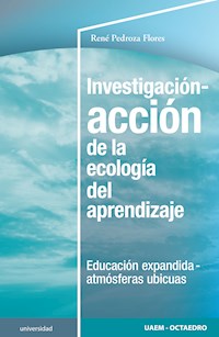 Investigación-acción de la ecología del aprendizaje - René Pedroza Flores - E-Book