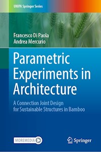 Parametric Experiments in Architecture - Francesco Di Paola - E-Book