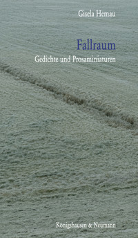 Fallraum - Gisela Hemau - E-Book