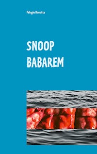 Snoop Babarem - Pélagie Hanotte - E-Book