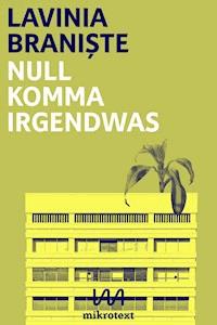 Null Komma Irgendwas - Lavinia Braniște - E-Book