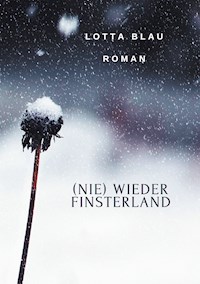 (Nie) Wieder Finsterland - Lotta Blau - E-Book