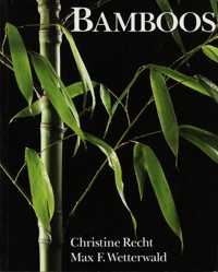 Bamboos - Christine Recht - E-Book