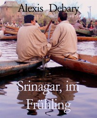 Srinagar, im Frühling - Alexis Debary - E-Book