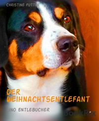 Der Weihnachtsentlefant - Christine Futter - E-Book