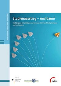 Studienausstieg – und dann? - Martin Neugebauer - kostenlos E-Book