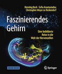 Faszinierendes Gehirn - Henning Beck - E-Book