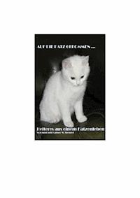 Auf die KATZ gekommen ... - rainer stengel - E-Book