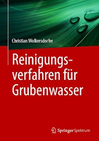 Reinigungsverfahren für Grubenwasser - Christian Wolkersdorfer - E-Book