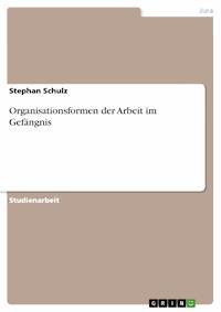 Organisationsformen der Arbeit im Gefängnis - Schulz Stephan - E-Book