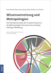 Wissensvernetzung und Metropolregion - Arno Brandt - E-Book