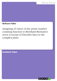 Assigning of values of the prime number counting function to Bernhard Riemann's zeros. Concept of Dirichlet lines in the complex plane - William Fidler - E-Book