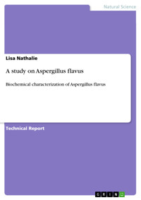 A study on Aspergillus flavus - Lisa Nathalie - E-Book