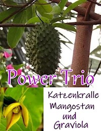 Power Trio - Alina Frey - E-Book