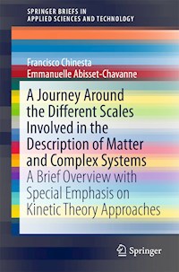 A Journey Around the Different Scales Involved in the Description of Matter and Complex Systems - Francisco Chinesta - E-Book