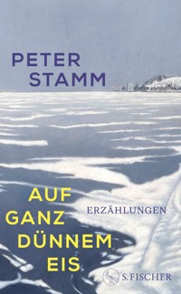 Auf ganz dünnem Eis - Peter Stamm - E-Book