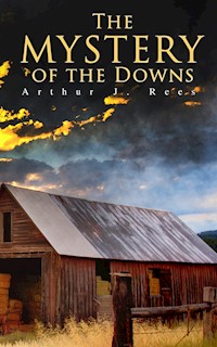 The Mystery of the Downs - Arthur J. Rees - E-Book