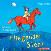 Fliegender Stern - Ursula Wölfel - Hörbuch