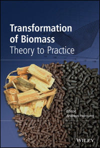 Transformation of Biomass - Andreas Hornung - E-Book