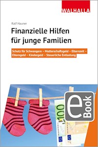 Finanzielle Hilfen für junge Familien - Ralf Hauner - E-Book