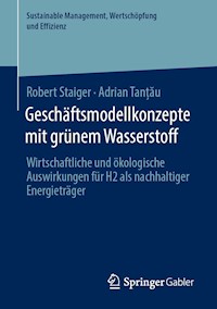 Geschäftsmodellkonzepte mit grünem Wasserstoff - Robert Staiger - E-Book