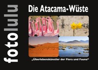 Die Atacama-Wüste - Sr. fotolulu - E-Book
