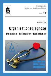 Organisationsdiagnose - Martin Elbe - E-Book