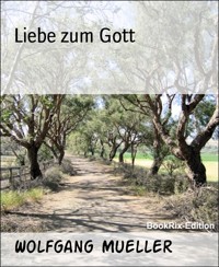 Liebe zum Gott - Wolfgang Mueller - E-Book