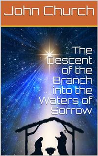The Descent of the Branch into the Waters of Sorrow / to bring up the Election of Grace - John Church - E-Book
