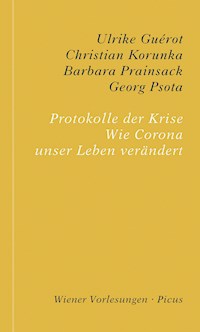 Protokolle der Krise - Ulrike Guérot - E-Book