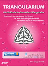 Triangularium - Jan Hagen Fink - E-Book
