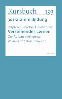 Verstehendes Lernen - Elsbeth Stern - E-Book