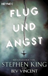 Flug und Angst - Michael Lewis - E-Book