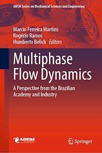 Multiphase Flow Dynamics -  - E-Book