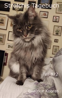 Strolchis Tagebuch - Teil 872 - Beatrice Kobras - E-Book